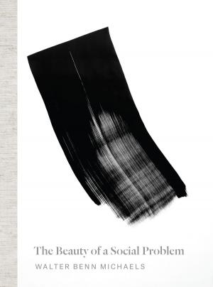 Cover of the book The Beauty of a Social Problem by Theodor W. Adorno