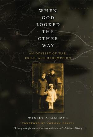 Cover of the book When God Looked the Other Way by Scott L. Montgomery