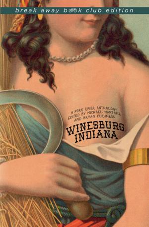 Cover of the book Winesburg, Indiana by Marianne McDonald