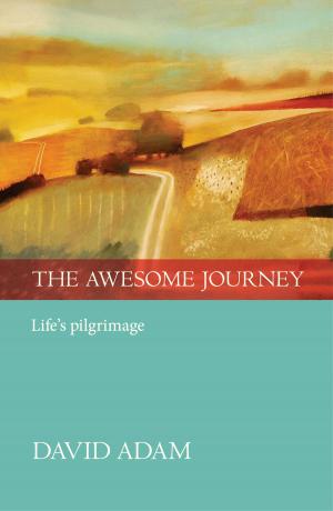 bigCover of the book The Awesome Journey by 