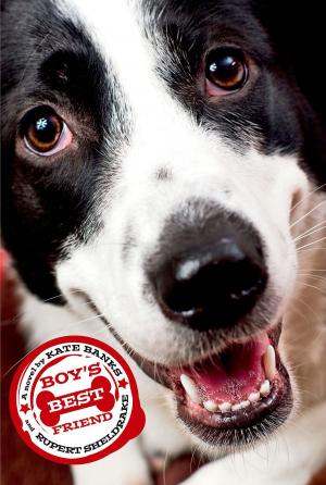 Cover of the book Boy's Best Friend by Monika Schroder