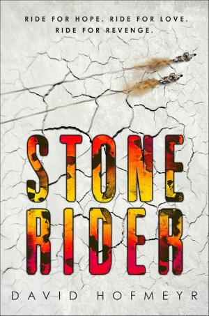 Cover of the book Stone Rider by Sundee T. Frazier