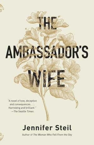Book cover of The Ambassador's Wife