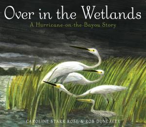Cover of the book Over in the Wetlands by The Princeton Review