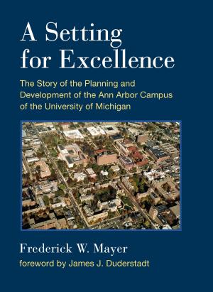Cover of A Setting For Excellence