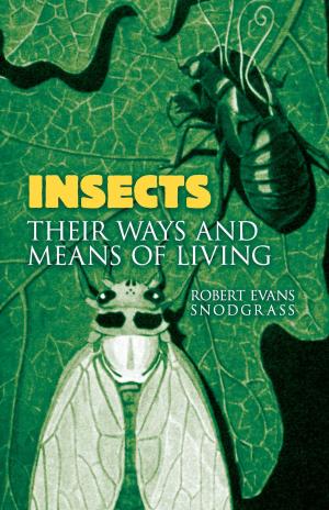 Cover of the book Insects by Eugene-Emmanuel Viollet-le-Duc