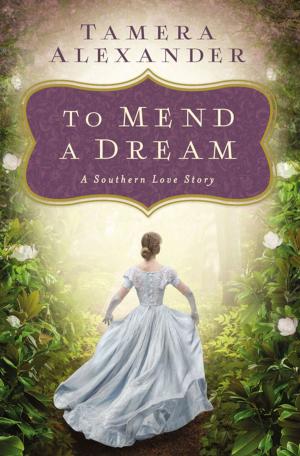 Cover of the book To Mend a Dream by Steve Turner