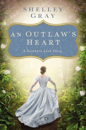 Cover of the book An Outlaw's Heart by Chip Gaines