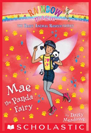 Cover of the book The Baby Animal Rescue Fairies#1: Mae the Panda Fairy by Mary Casanova