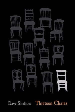 Cover of the book Thirteen Chairs by Judy Blundell