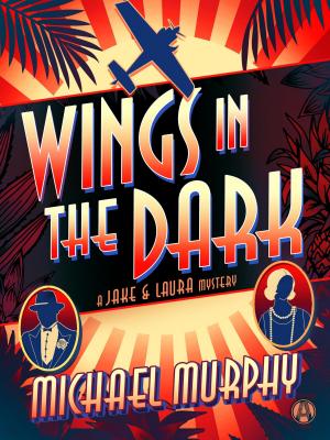 Book cover of Wings in the Dark