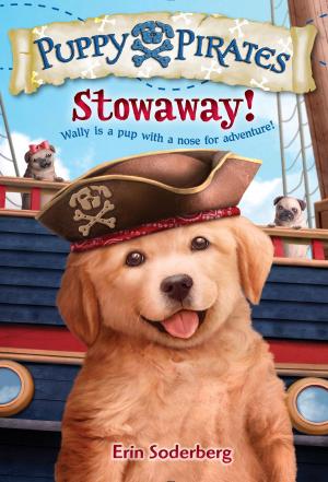 Cover of the book Puppy Pirates #1: Stowaway! by Siobhan Dowd