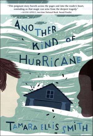Cover of the book Another Kind of Hurricane by Gary Paulsen