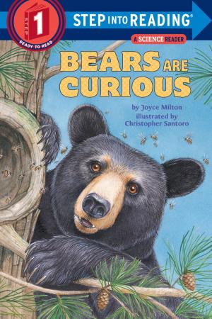 Cover of the book Bears Are Curious by Walter Farley