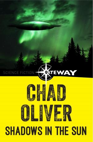 Cover of the book Shadows in the Sun by Cass Hunter