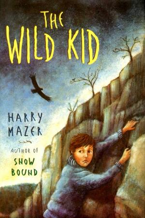 Cover of the book The Wild Kid by Emily Gravett