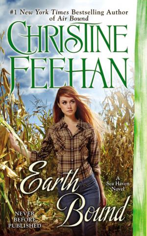 Cover of the book Earth Bound by Jory Sherman