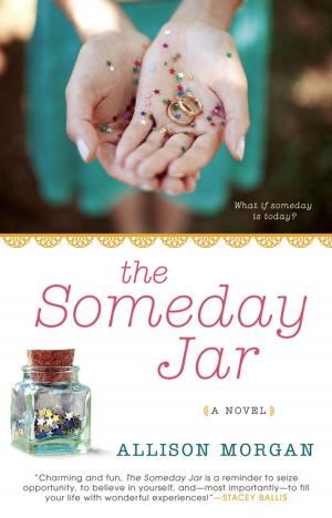 Cover of the book The Someday Jar by Avery Aames