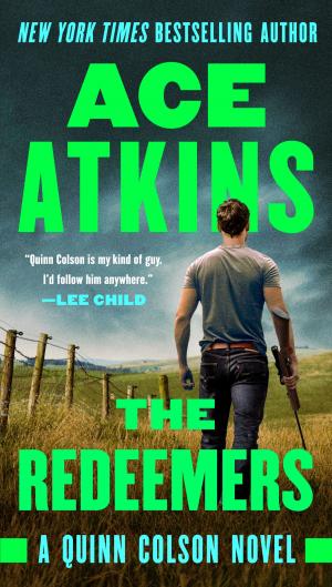 bigCover of the book The Redeemers by 