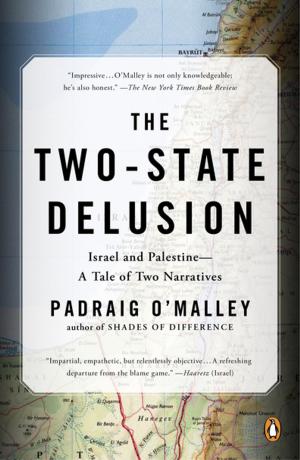 Cover of the book The Two-State Delusion by Nicholas Lovell