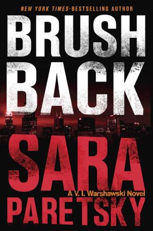 Book cover of Brush Back