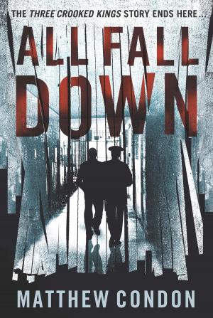 Cover of the book All Fall Down by Julie Koh