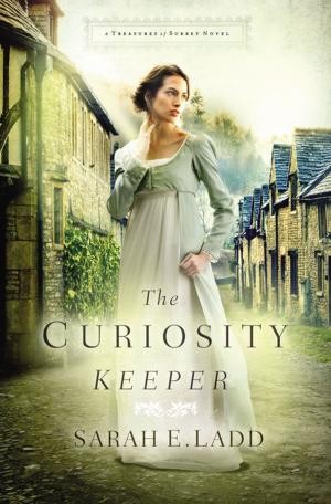 Cover of the book The Curiosity Keeper by Haley Whitehall