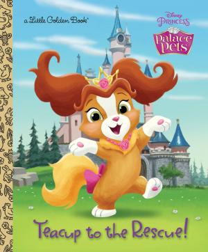 bigCover of the book Teacup to the Rescue! (Disney Princess: Palace Pets) by 