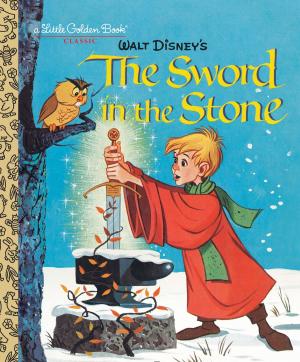 Cover of the book The Sword in the Stone (Disney) by Walter Dean Myers, John Ballard