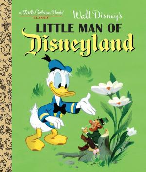Book cover of Little Man of Disneyland (Disney Classic)