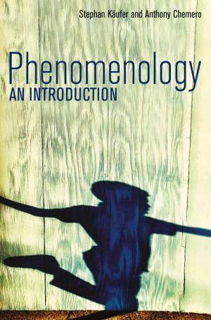 Cover of the book Phenomenology by William Irwin