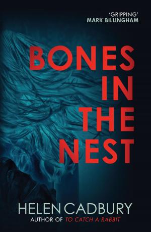 Cover of the book Bones in the Nest by Michael Bond