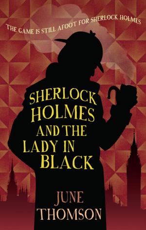 Cover of the book Sherlock Holmes and the Lady in Black by Anna Jacobs