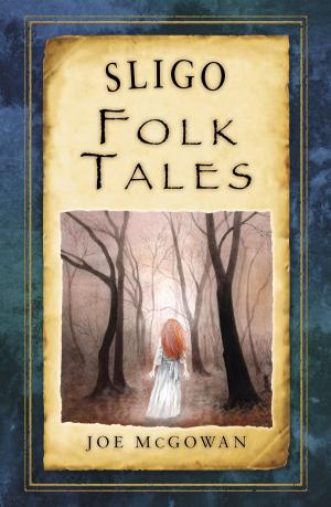 Cover of the book Sligo Folk Tales by Geoff Brookes