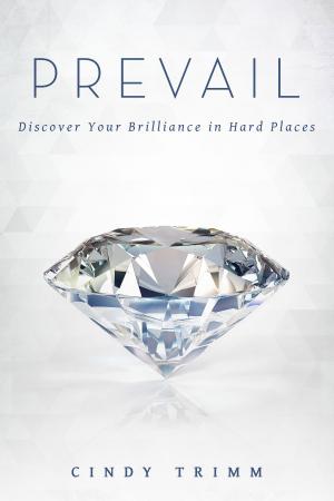 Cover of the book Prevail by Bill Johnson, Mike Seth