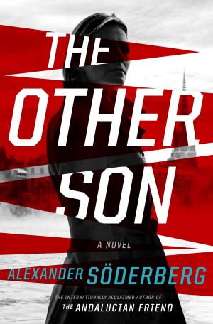 Book cover of The Other Son