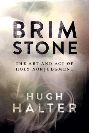 Cover of the book Brimstone by Burghild Nina Holzer