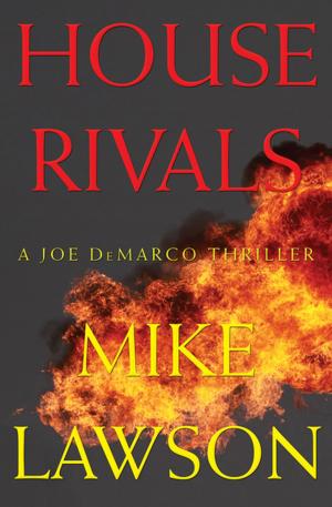 Book cover of House Rivals