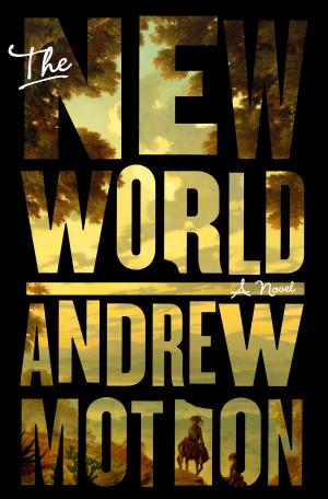 Cover of the book The New World by Steve Melton
