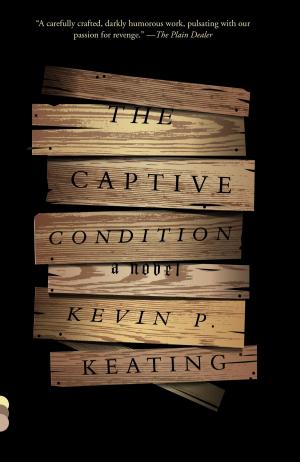 Cover of the book The Captive Condition by Jesse May