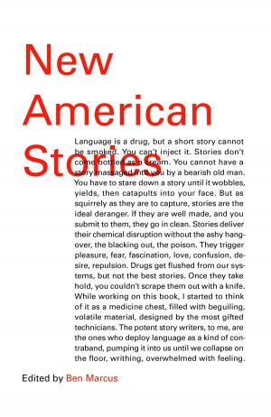 bigCover of the book New American Stories by 