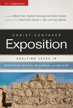 Cover of the book Exalting Jesus in Zephaniah, Haggai, Zechariah, and Malachi by 