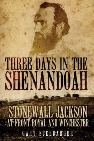 Cover of the book Three Days in the Shenandoah by Tom Chaffin