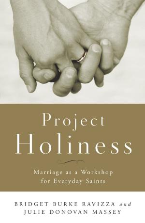 Cover of the book Project Holiness by Albert Holtz, OSB