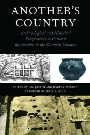 Cover of the book Another's Country by Montré D. Carodine, Cathy Caruth, Alan L. Durham, Brian K. Fair, Steven Hobbs, Gregory Keating, Linda Ross Meyer, Meredith M. Render, Austin Sarat, Jeannie Suk, John Fabian Witt