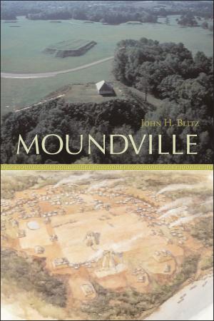Cover of the book Moundville by Charles Arthur Willard
