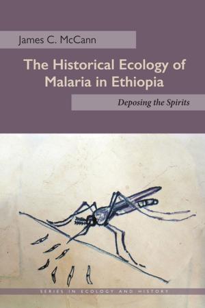 Cover of the book The Historical Ecology of Malaria in Ethiopia by Niq Mhlongo