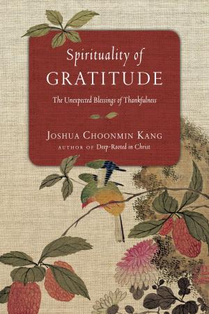 Cover of the book Spirituality of Gratitude by Trent Sheppard, Pete Greig