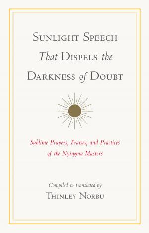 Cover of the book Sunlight Speech That Dispels the Darkness of Doubt by John Daido Loori