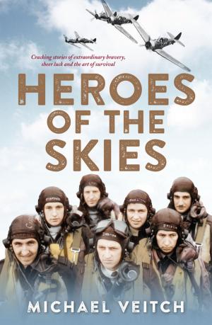 Cover of the book Heroes of the Skies by Gruff Rhys